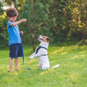 Hundehold for børn
